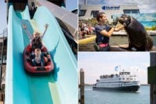 25% Korting All-In zomerticket Deltapark Neeltje Jans voor €15 bij Tripper