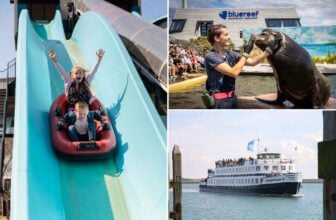 25% Korting All-In zomerticket Deltapark Neeltje Jans voor €15 bij Tripper
