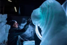 18% Korting Entreeticket Het Nederlands IJsbeelden Festival voor € 17,95 bij Tripper