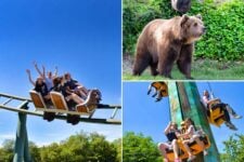 23% Korting Entreeticket Wild- & Freizeitpark Klotten voor €22,75 bij Tripper